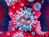 Что такое «омикрон», для кого он наиболее опасен и как защитить себя от нового штамма коронавирусной инфекции