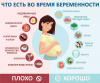 Если вы в ожидании малыша. Питание во время беременности 