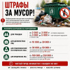 В Варненском округе усиливают контроль за контейнерными площадками: жителям напомнили о правилах утилизации мусора