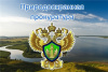 «О пожарной безопасности в лесах»