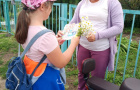 Акция «Ромашковое счастье» прошла в п. Бородиновка