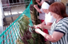 Своих не бросаем