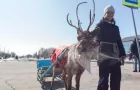 Фестиваль "Варненская Весна!"