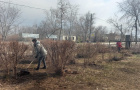 Субботник, посвященный «Дню охраны труда»