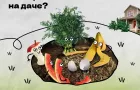 Российский экологический оператор на безвозмездной основе предлагает Вам ознакомиться с подготовленным медиабанком