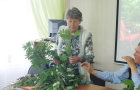 Мой любимый сад