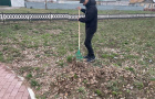 Всероссийский субботник