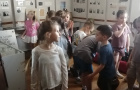 «Уникальная находка»