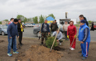 Высадка саженцев ели в сквере «Тропа здоровья».