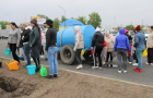 Высадка саженцев ели в сквере «Тропа здоровья».