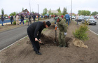 Высадка саженцев ели в сквере «Тропа здоровья».