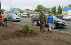 Высадка саженцев ели в сквере «Тропа здоровья».