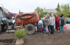 Высадка саженцев ели в сквере «Тропа здоровья».