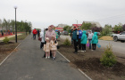 Высадка саженцев ели в сквере «Тропа здоровья».