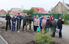 Высадка саженцев ели в сквере «Тропа здоровья».