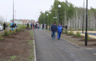 Высадка саженцев ели в сквере «Тропа здоровья».