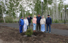 Высадка саженцев ели в сквере «Тропа здоровья».