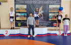 Открытый областной турнир по спортивной борьбе, посвященный 100 – летию Варненского муниципального района.