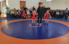 Юные борцы успешно открыли спортивный сезон.