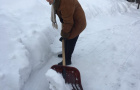 Шалгинбаева Н.А. Кулевчи
